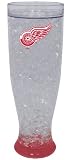 NHL Detroit Redwings Ice Pilsner Glass
