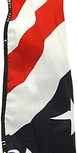 Lovely American Flag Wire Head Band