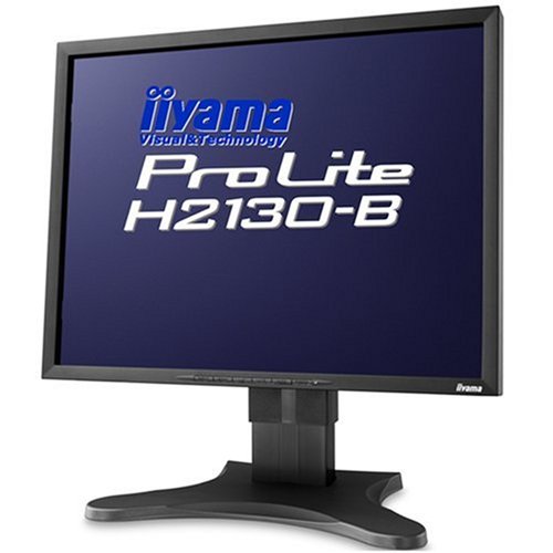 Iiyama ProLite H2130B 21 Zoll TFT Monitor silber/anthrazit DVI