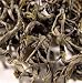 Organic Hunan Green Tea Leaves - Organic Teas from China
