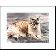 Neighborhood Friend Framed Mini Print by Drew Strouble