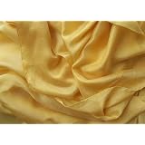 "Aztec Gold" Belly Dance Pure Silk Veil for Belly Dancers
