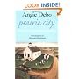 Prairie City: The Story of an American Community