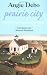 Prairie City: The Story of an American Community