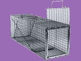 Humane Animal Box Trap, 30 x 11 x 12