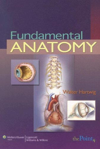 Fundamental Anatomy