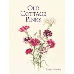 Old Cottage Pinks