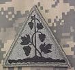 Connecticut National Guard ACU Patch - Foliage Green