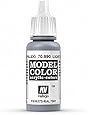 Vallejo Light Grey Model Color Paint, 17ml