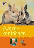 Zwergkaninchen: Erleben, verstehen, beschaeftigen