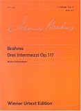 ¥¦¥£¡¼¥ó¸¶ÅµÈÇ(23) ¥Ö¥é¡¼¥à¥¹ 3¤Ä¤Î´ÖÁÕ¶Ê ºîÉÊ117