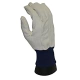 PIP WA8124A-AMZ Brahma Mens Large Glove Cotton Canvas, White, 1 Dozen by PIP