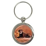 Labrador Retriever Lab Key Chain (Round)