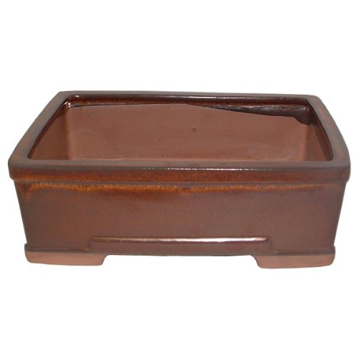26cm Brown Glazed Bonsai Pot