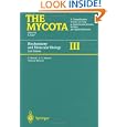 Biochemistry and Molecular Biology (The Mycota) by Robert Brambl and George A. Marzluf