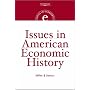Issues in American Economic History