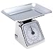 Salter 074 22-Pound Extra High Capacity Mechanical Kitchen Scale with Tray, Chrome
