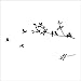 Birds Flying Tree Branches Wall Sticker Vinyl Art Decal Mural Home Decor