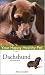   - Dachshund: Your Happy Healthy Pet