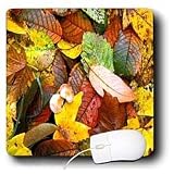 Leaves - Fall Leaves - Mouse Pads