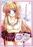 �Ϥ����Ϥ����ƥ�ѥ� ~�Ϥ���ƤʤΤ�ĶBINKAN~ DVD��