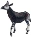 Okapi