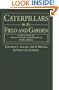 Caterpillars in the Field and Garden: A Field Guide to the Butterfly Caterpillars of North America (Field Guides (Oxford))
