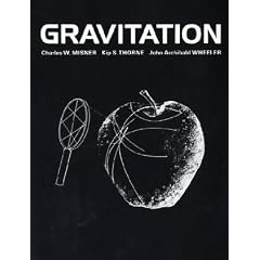 Gravitation (Taschenbuch)