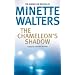 The Chameleon's Shadow