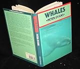 Whales