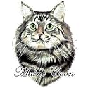 Maine Coon Cat Adult T-Shirt
