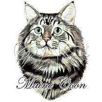 Maine Coon Cat Adult T-Shirt