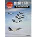 FOR THE BLUE SKY�\�q�󎩉q����50�N
