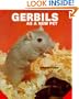 Gerbils As a New Pet