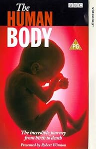 The Human Body For Kids