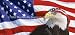 Window Graphic - 30x65 US Flag 2 with Eagle & Band