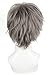 ROLECOS Mens Short Straight Anime Cosplay Wigs Fluffy Synthetic Hair Wig Grey JF532