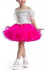 Toddler Floor Length  Organza Beaded Lace Crystal  Ball Gown Pageant Dress 