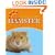 Hamster (Looking After Your Pet)