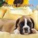Boxer Puppies 2012 Wall Calendar 12" X 12"