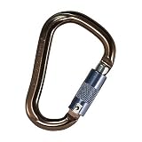 Black Diamond Rocklock Screwgate Carabiner One Color, One Size