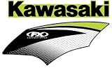 07 OE TNK/SHRED KX250F - Factory Effex -