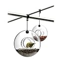 Bird Feeder