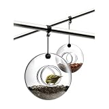 Bird Feeder