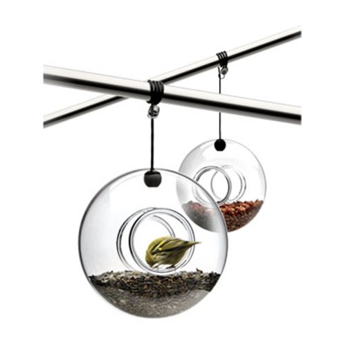 Bird Feeder