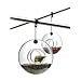 Bird Feeder