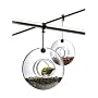 Bird Feeder