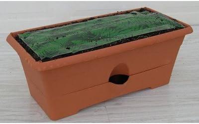 GrowBox Rectangular Planter [Set of 6] Color: Terra Cotta