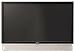 SANYO GRAFINA 45V型 地上・BS・110度CSデジタルハイビジョン液晶プロジェクションテレビ PTV-45HD1-K