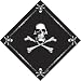 ''Jolly Roger'' Bandana
